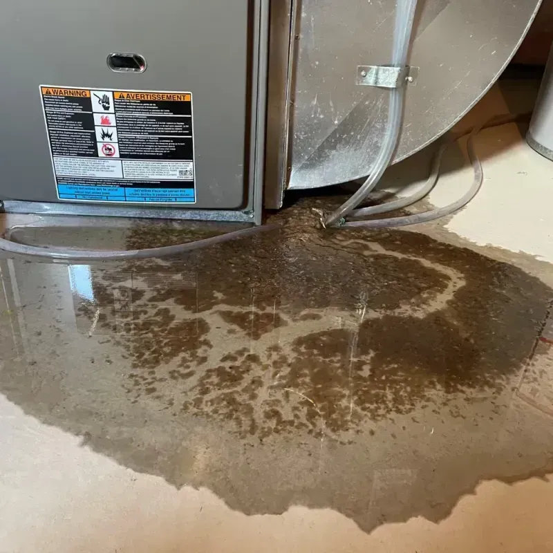 Appliance Leak Cleanup in Youngstown, OH